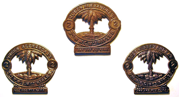 2nd Wellington West Coast Squadron badge