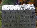 Ashburton Gardens memorial oak
