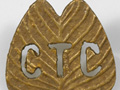 Camel Transport Corps badge
